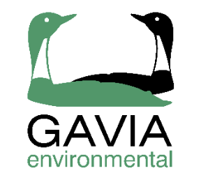 a logo of two ducks Gavia Environmental Logo